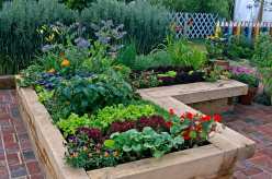Step-by-Step Tips for Designing a Garden That Grows Both Beauty and Food