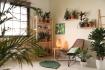 Maintenance Tips to Keep Your Indoor Plant Wall Looking Fresh and Vibrant