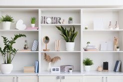 Top 5 Techniques for Styling Bookshelves with Houseplants That Impress